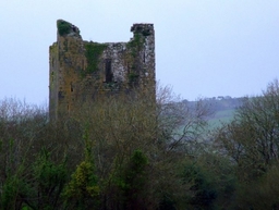 Kilcrea Castle Logo