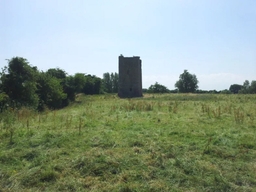 Donore Castle Ruins Logo