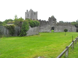 Clonony Castle Logo