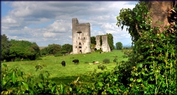 Ballyadams Castle Logo