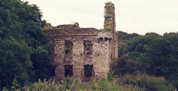 Tinnahinch Castle Logo