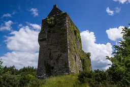 Carrignacurra Castle Logo