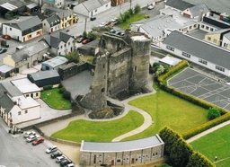 Ferns Castle Logo