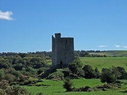 Carrigaphooca Castle Logo