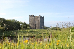 Smithstown Castle (Ballynagowan Castle) Logo