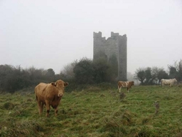 Dunmahon Castle Logo