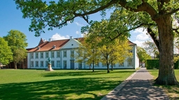 Odense Castle Logo