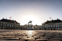 Frederik VIII's Palace (Brockdorff's Palace) Logo