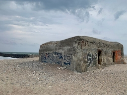 Thyborøn Fortress Logo