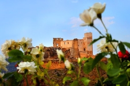 Cofrentes Castle Logo