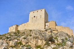 Castillo de los Vélez Logo