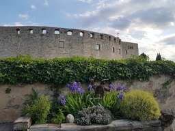 Castell de Fonolleres Logo