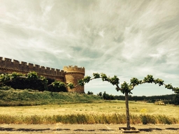 Castillo de Grajal de Campos Logo