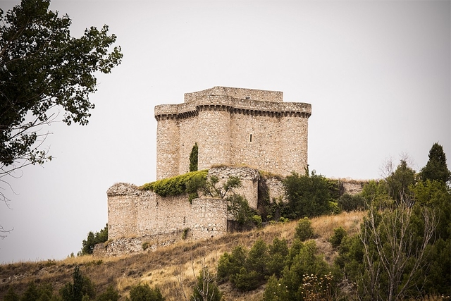 Castillo de Puñoenrostro Logo