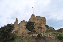 Castell de Mas Carbó Logo