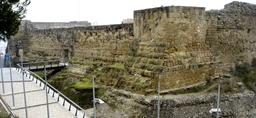 Castillo Formós Logo