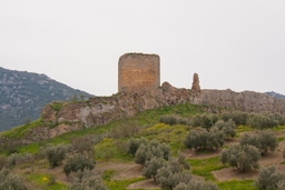 Castillo de la Encomienda de Víboras Logo