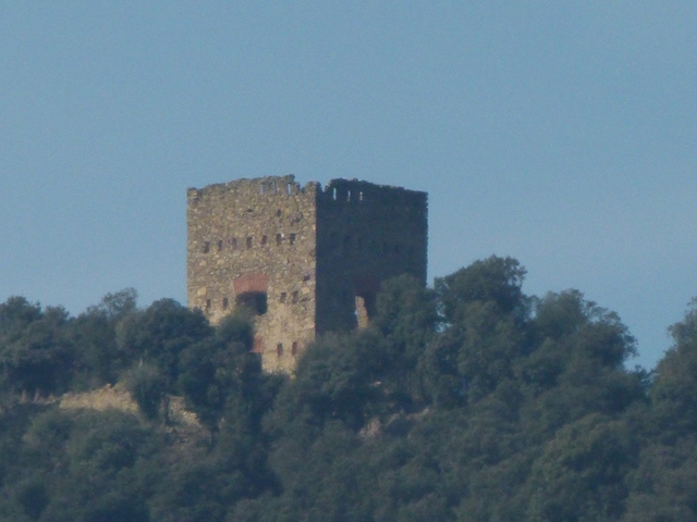 La Torre de Canadell Logo