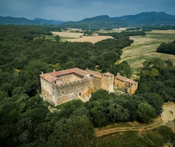 Castell de Cartellà Logo