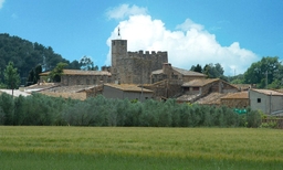 Castell de Vulpellac Logo