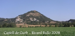 Castell De Gurb Logo