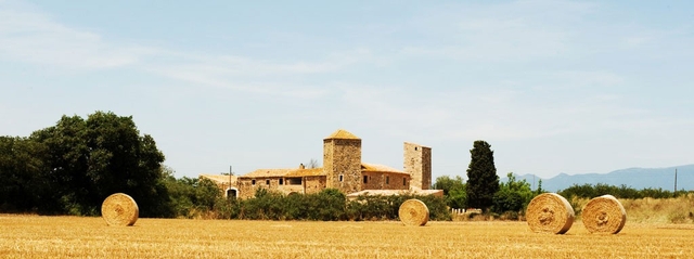 Castell de Vallgornera Logo