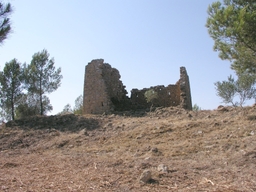 Castell de Mas Mateu Logo