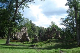 Helme Order Castle Ruins Logo