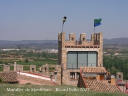 Castell de Montblanc Logo