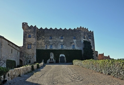 Castell d'Altafulla o dels Montserrat Logo