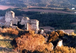 Castell de Miralles Logo