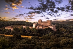 Castell de Riudabella Logo