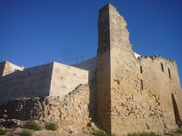 Castell de L'Albi Logo