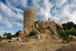 Castell de Burriac Logo