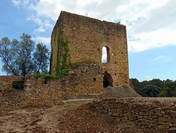 Castell de Peralta Logo