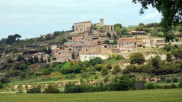 Castell de Vergós Guerrejat Logo