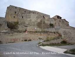 Castell de Montfalcó Logo