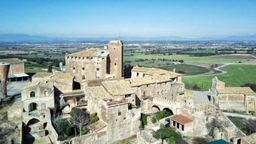 Castell de l'Aranyó Logo