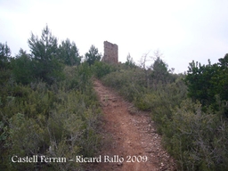 Castell Ferran Logo