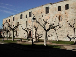 Castell de Bellpuig Logo