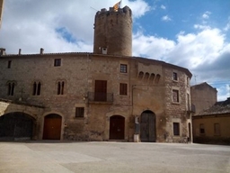 Castell De Verdú Logo