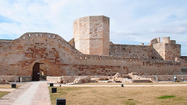 Castillo de Zamora Logo