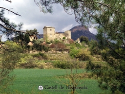 Castell de l'Espunyola Logo