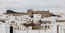 Castle vejer Logo