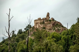 Castell de Mont-roig Logo