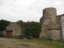 Castell de Canyelles Logo