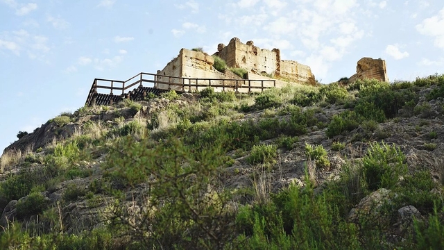 Castillo de Pliego Logo