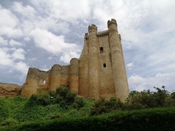 Castillo de Coyanza Valencia de Don Juan Logo