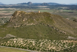 TORRE DEL CASTELLAR Logo