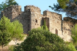 Castell de Sant Quintí Logo